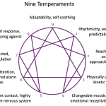 Finding the Enneagram Type: Part 4